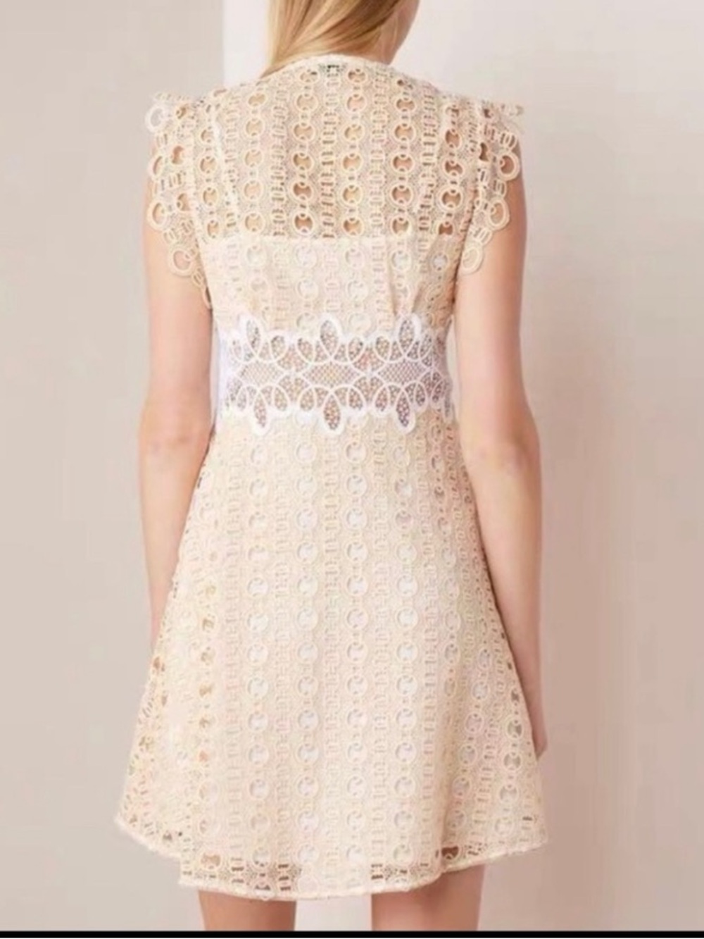 Sandro kamel sleeveless zip up front embroidered lace dress size 40EU - Picture 2 of 9